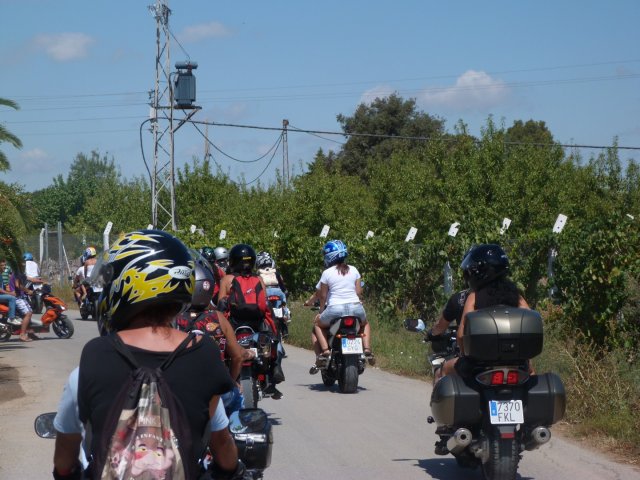 XVIII Concentracion - 2011